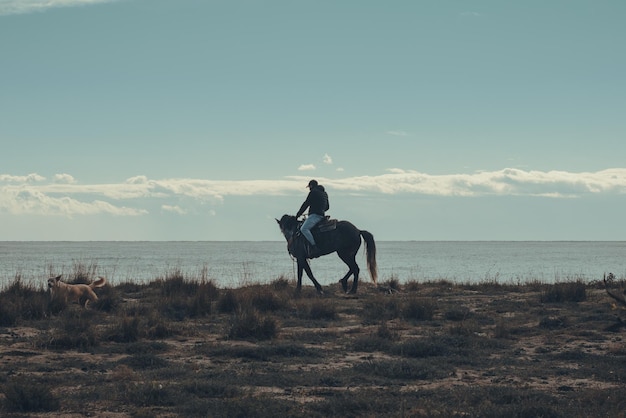 Foto hombre a caballo en el mar contra el cielo