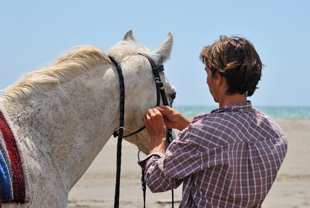 Hombre y caballo