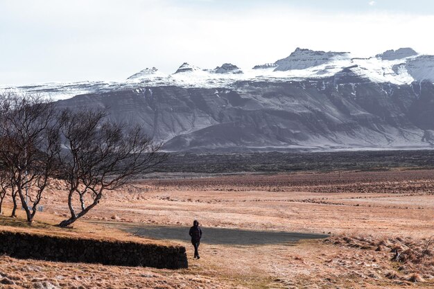 Foto un hombre camina en un campo con una montaña al fondo.