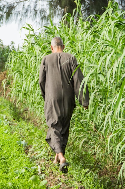 Un hombre camina por un campo en un pueblo tradicional egipcio