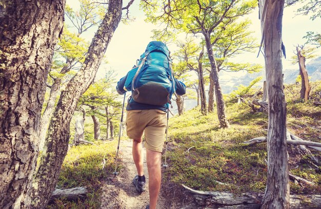 Hombre caminando por la bahía el sendero en el bosque.