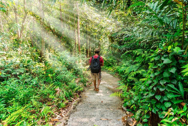 Hombre caminando en el bosque con rayo de sol