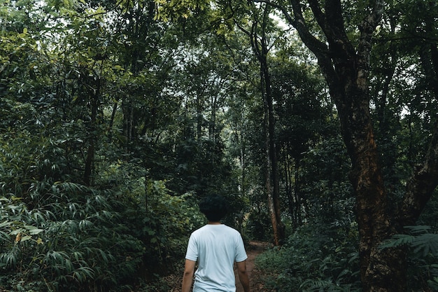 Hombre caminando en el bosque en la temporada de lluvias