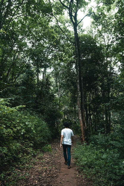 Hombre caminando en el bosque en la temporada de lluvias