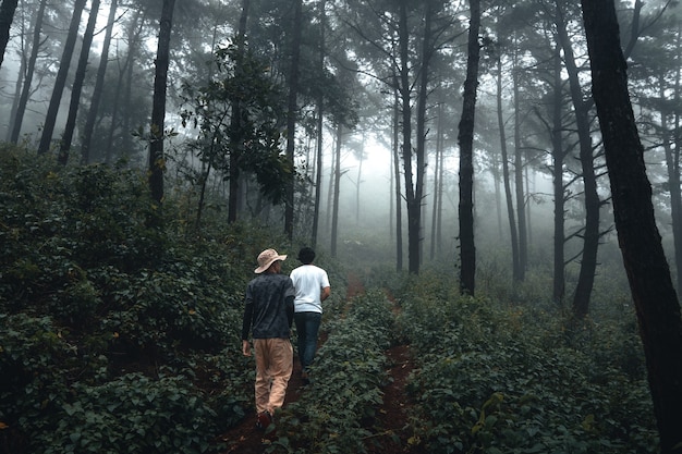 Foto hombre caminando en el bosque en la temporada de lluvias