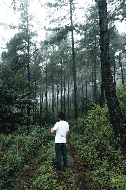 Hombre caminando en el bosque en la temporada de lluvias