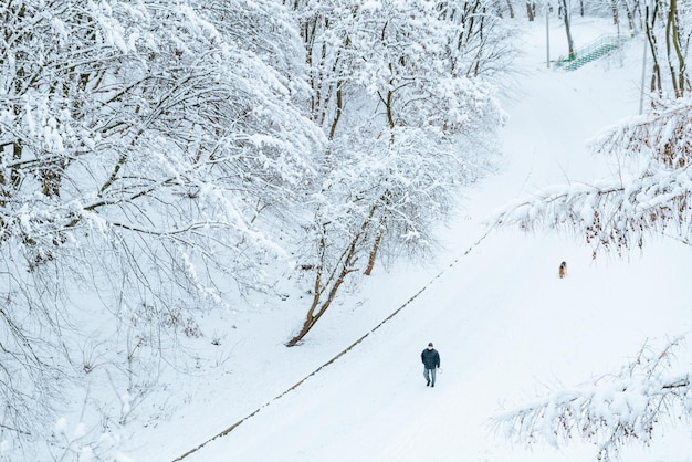 hombre caminando con dag fuera en el día de invierno