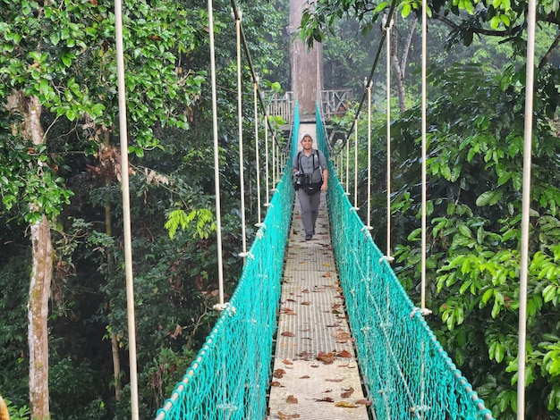 Hombre caminando en el puente colgante en la pasarela del dosel superior del árbol en la selva tropical de Danum Lahad datu Sabah