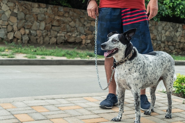 Hombre caminando con su perro en el barrio