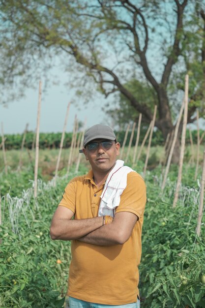 Foto un hombre se para en un campo de tomates.