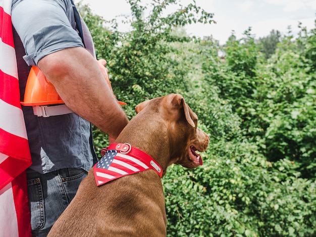 Hombre con casco, encantador cachorro y bandera americana