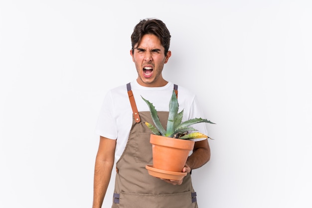 Hombre caucásico joven jardinero sosteniendo una planta aislada gritando muy enojado y agresivo.