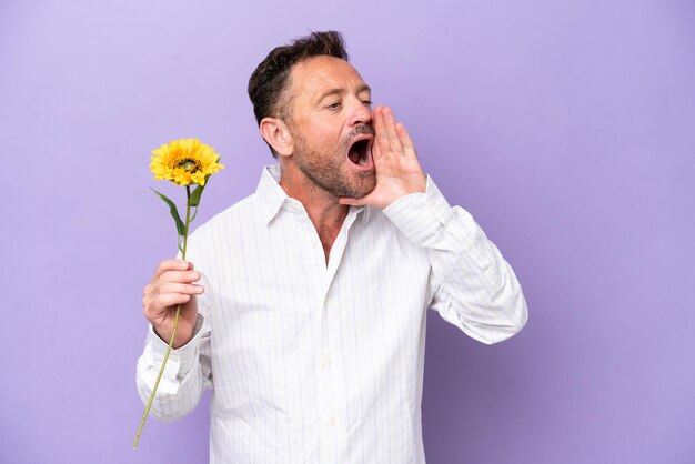 Hombre caucásico de mediana edad sosteniendo una flor solar aislada en un fondo morado gritando con la boca abierta a un lado