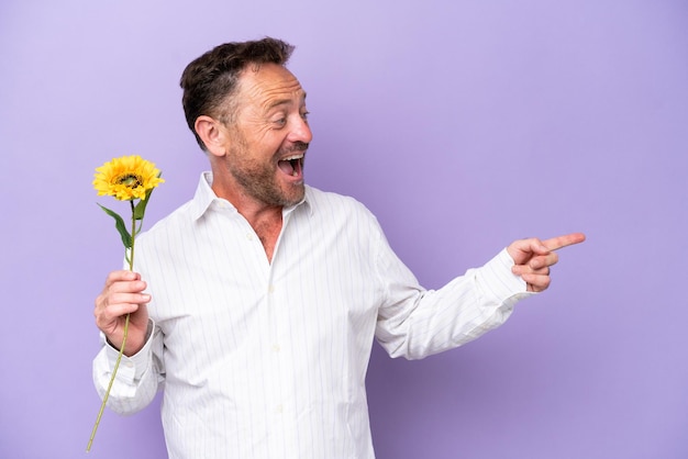 Hombre caucásico de mediana edad sosteniendo una flor solar aislada en un fondo morado señalando con el dedo hacia un lado y presentando un producto