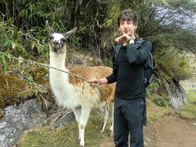 Hombre caucásico posando junto a una llama.