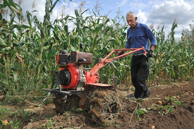 Un hombre cavando patatas con arado y tractor.