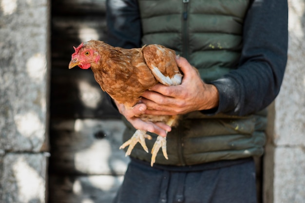 Foto hombre de chaqueta verde oscuro con un pollo marrón