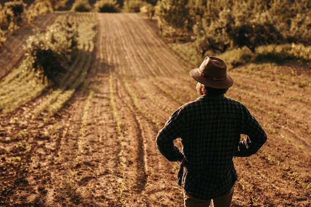 Hombre confiado cogidos de la mano en la cintura y admirando el campo agrícola