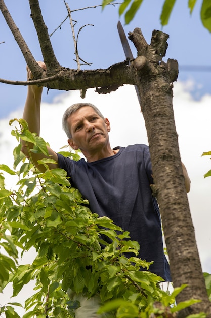 El hombre corta las ramas secas de un árbol en el jardín