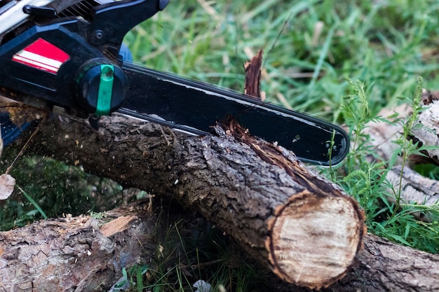 Hombre cortando árboles con una motosierra eléctrica y herramientas profesionales