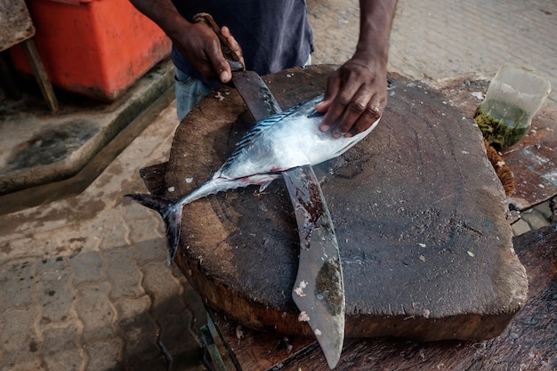 Hombre cortando atún fresco con un cuchillo enorme en Weligama en Sri Lanka