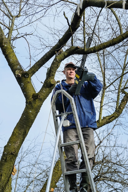 Hombre cortando una rama de árbol marchito.