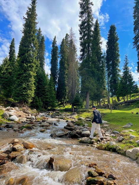 Foto un hombre cruza un arroyo en el bosque.