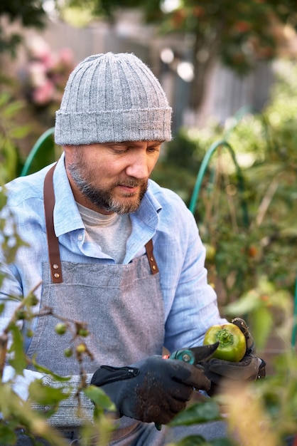 Foto hombre cultivando y cultivando verduras al aire libre.