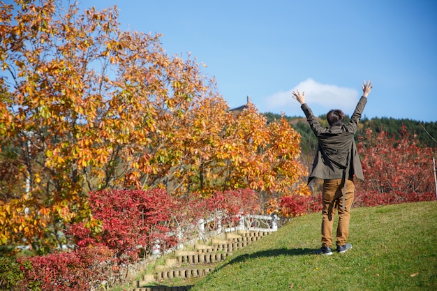 Un hombre da la mano y camina hacia arriba en la pendiente con un árbol amarillo rojo en la temporada de otoño.