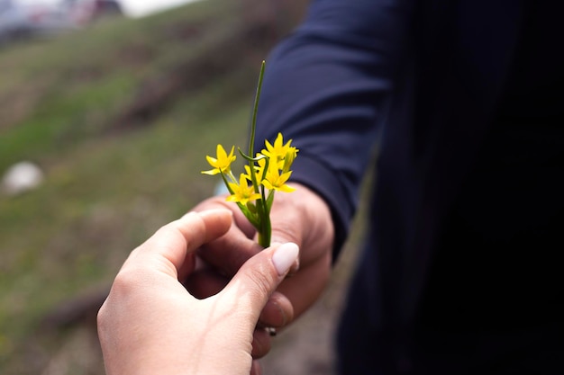 hombre dando flores amarillas a la mano de la mujer