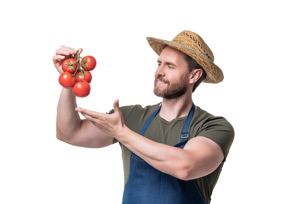 Hombre en delantal y sombrero presentando racimo de tomate aislado en blanco