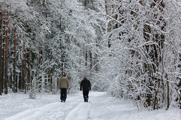 Hombre de deporte de nieve de invierno en el parque de árboles