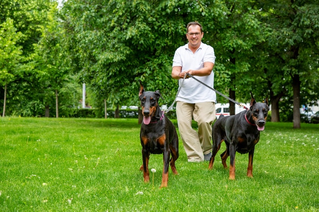 Hombre divirtiéndose y jugando con sus perros en el parque.