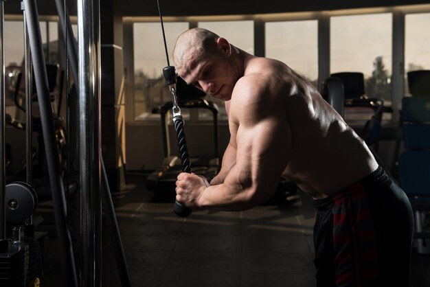 hombre, ejercitar, tríceps, en el gimnasio