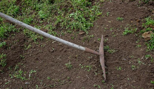 Un hombre elige las raíces de las malas hierbas en el enfoque selectivo de la granja de la huerta del jardín