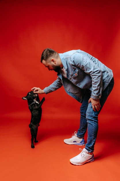 Un hombre entrena a un bulldog francés con un fondo rojo.