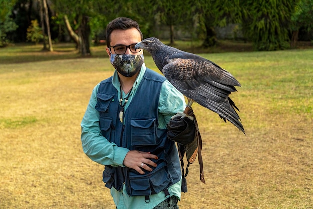 Hombre entrenando un águila blackchested