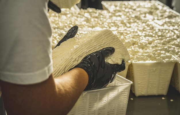 El hombre es un fabricante de queso en el proceso de producción de diferentes variedades de queso en la industria Elaboración de queso de leche