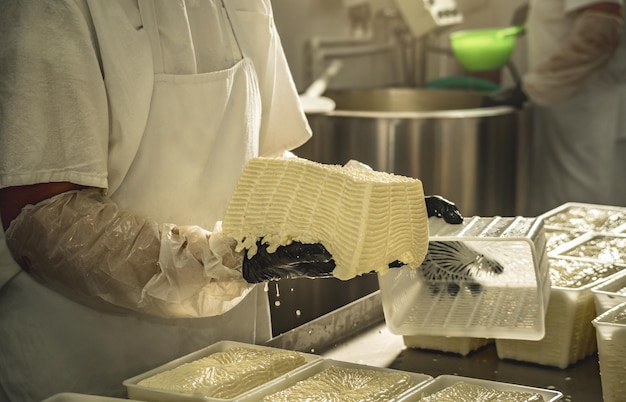 El hombre es un fabricante de queso en el proceso de producción de diferentes variedades de queso en la industria Elaboración de queso de leche