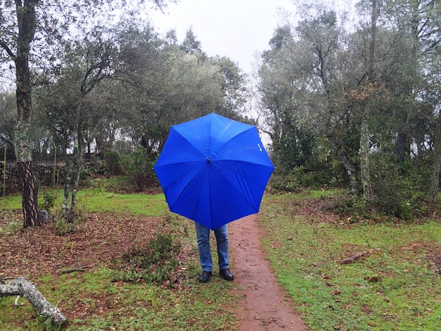 Foto hombre escondido por un paraguas azul en el bosque