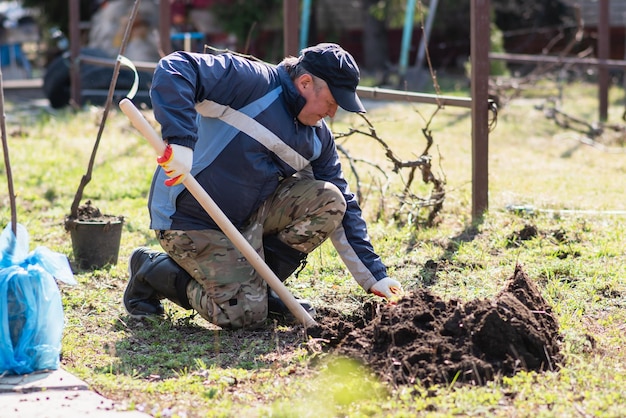 Un hombre está plantando un árbol joven El agricultor está cavando el suelo con una pala para una pequeña plántula El concepto de protección del medio ambiente y la ecología