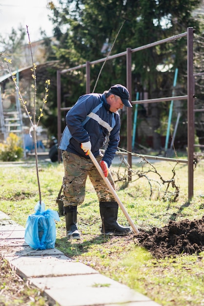 Un hombre está plantando un árbol joven El agricultor está cavando el suelo con una pala para una pequeña plántula El concepto de protección del medio ambiente y la ecología