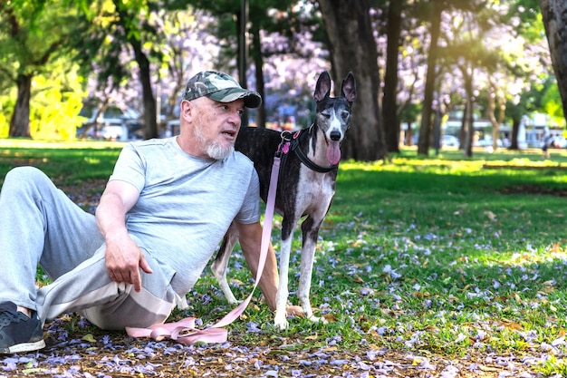 Un hombre está sentado en el parque con su perro disfrutando de un hermoso día soleado