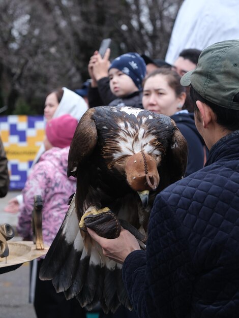 un hombre está sosteniendo un halcón que tiene un gran águila en su brazo