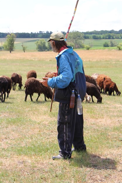 Foto un, hombre estar de pie, en, un, campo, con, sheep