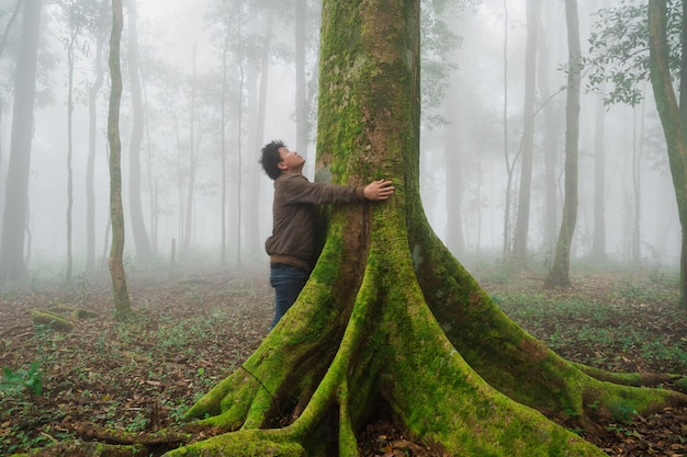 El hombre explora el árbol de la naturaleza en el bosque.