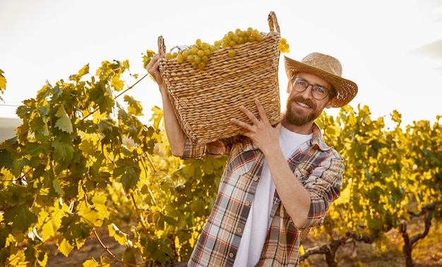 Hombre feliz con camisa a cuadros y sombrero sonriendo y mirando a la cámara mientras lleva una cesta de mimbre con uvas maduras durante la cosecha en el viñedo al atardecer