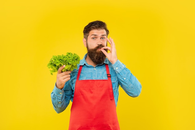 Hombre feliz en delantal lamiendo el dedo sosteniendo lechuga de hoja fresca fondo amarillo fruterías