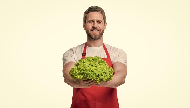 hombre feliz en delantal con lechuga vegetal aislado en blanco