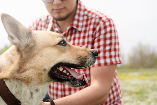 El hombre feliz juega con un perro pastor de raza mixta sobre hierba verde